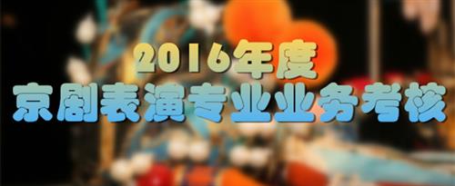 金屄国家京剧院2016年度京剧表演专业业务考...